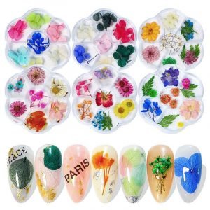 7Cells Different Styles Of Dried Flowers For Nail Art Decoration