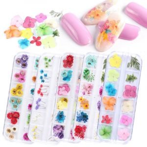 Different Styles Of Dried Flowers For Nail Art Decoration